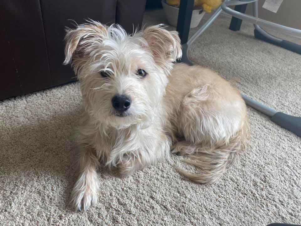 Lucy, submitted by Sarah Horonzy